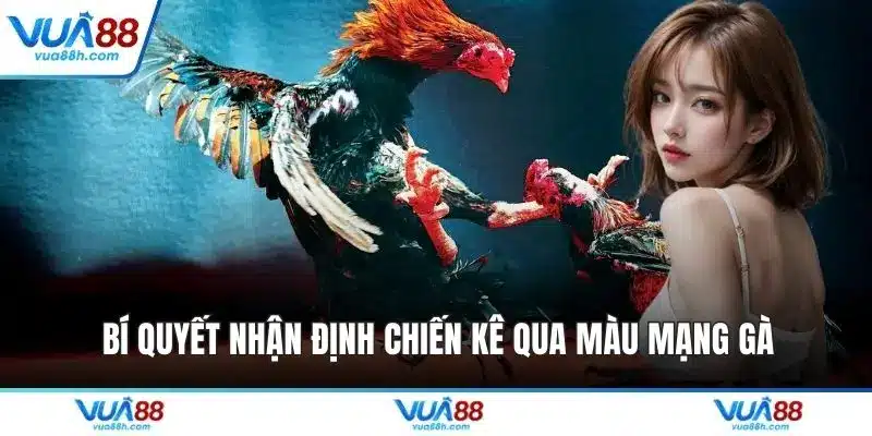 Bí quyết nhận định chiến kê qua màu mạng gà